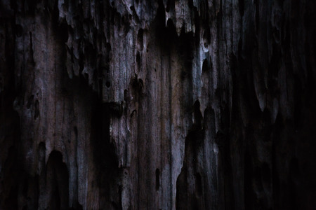 Background of Old Black Wood Plank.の写真素材