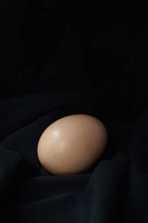 Eggs in a nest on hemp sack, dark corner.の写真素材