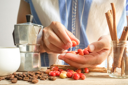 Select the quality coffee beans for you.の写真素材