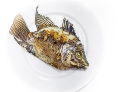Fried tilapia in a white dish White background.