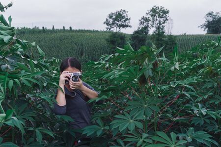 Young women travel on cassava fields, hold old cameras, take pictures.の写真素材