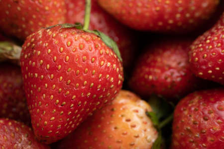fresh strawberry in farm market, shallow focus.の写真素材