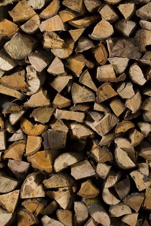 firewood / Dry firewood in a pile for furnace kindlingの写真素材