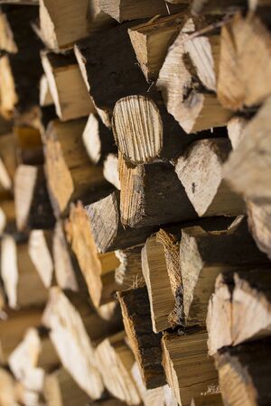 firewood / Dry firewood in a pile for furnace kindling