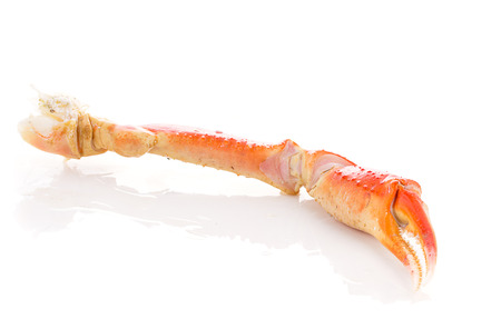 red crab claws on white backgroundの写真素材