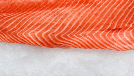 Fresh salmon fillet on iceの写真素材