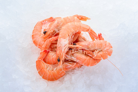 Boiled king shrimps on iceの写真素材