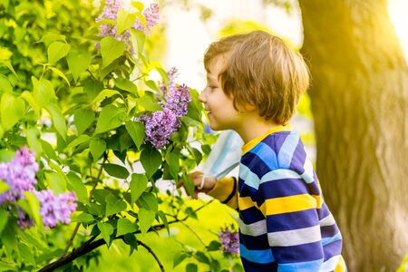Happy boy taking off his medical protective mask and breathing air, smelling flowers of lilac. Cheerful caucasian child at sunny day outdoors in park. End of quarantine, covid-19 pandemic conceptの写真素材