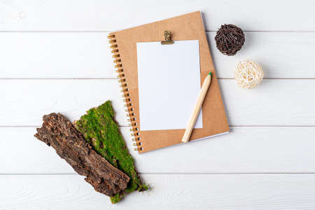 Desktop mockup planner. Flat lay of white wooden table background. Top view green sprout leaves,...