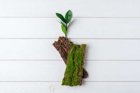 Flat lay Zero waste, eco friendly, natural organic plastic free concept. Craft paper coffee cup,...