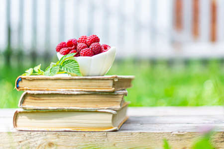 Harvest of Fresh ripe farm raspberry with leaves standing on the old books, on wooden background in white cup, plate. Book on nature. Document, card.の写真素材