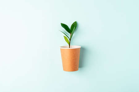 Craft paper coffee cup with green leaves sprout top view. Flat lay Zero waste, eco friendly, natural organic plastic free concept. Earth, biodegradable with copy space on mint backgroundの写真素材