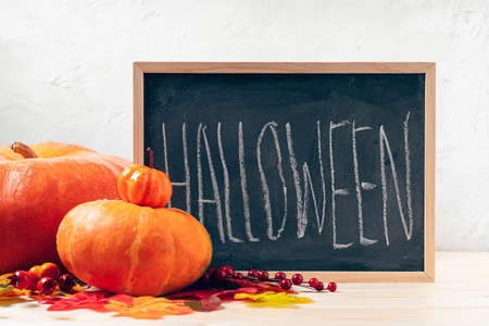 Pumpkins, berries and fallen leaves with chalk inscription halloween on blackboard frame on wooden background. Seasonal autumnal and Design backgroundの写真素材