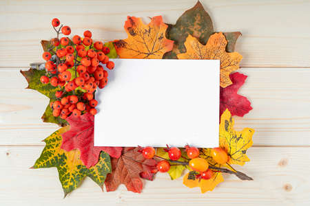 Orange maple leaf, berries and mock up paper blank on wooden background. Hello Fall greeting card,...