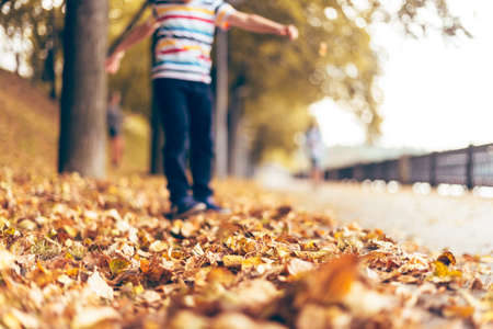 Blurred autumn background defocus.Child walking road with falling leaves at the curb and orange leaves. Close-up view.の写真素材
