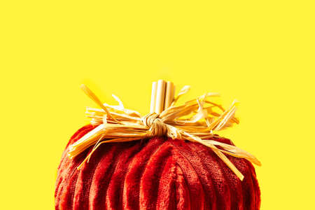 Homemade pumpkin on yellow background. Banner with copy space.の写真素材