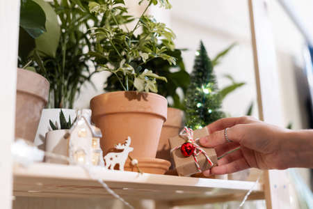 Women hands with Christmas wrapping gift box among plants, decoration and lightsの写真素材