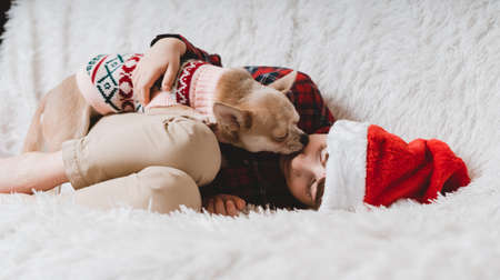 Chihuahua dog in sweater licks little laughing childs face on couch with blanket at Christmas.