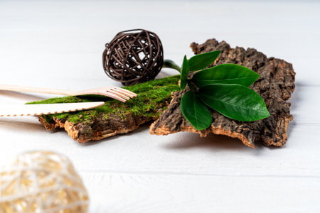 Craft paper, green leaves sprout, bark of tree and recycled cutlery top view. Zero waste, eco friendly, natural organic plastic free concept. Earth, biodegradable with copy space.の写真素材