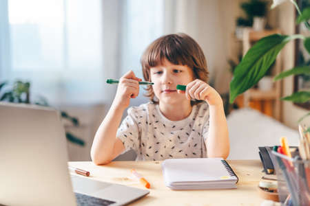 Distance learning online education. Caucasian smile kid boy studying at home with laptop and doing...