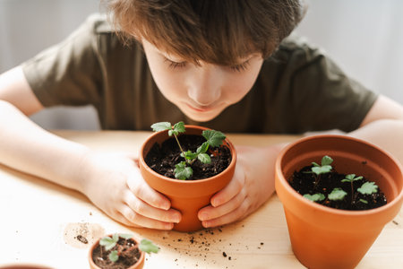Child Kid boy gardener taking care and transplanting strawberries sprout plant into a new ceramic pot on the wooden table. Home gardening, love of houseplants. Spring time. Potted plants.の写真素材