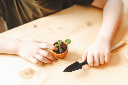 Close up Child Kid boy gardener taking care and transplanting strawberries sprout plant into a new ceramic pot on the wooden table. Home gardening, love of houseplants. Spring time. Potted plants.の写真素材