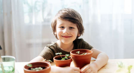 Child Kid boy gardener taking care and transplanting strawberries sprout plant into a new ceramic pot on the wooden table. Home gardening, love of houseplants. Spring time. Potted plants.の写真素材