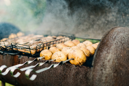 Mushrooms on skewers are fried on charcoal. Barbecue with meat and mushrooms fried on the grill outdoors on back yard.の写真素材
