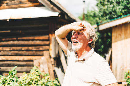 Mature adult farmer harvesting herbs on an organic garden during the sun outdoors. Concept of...