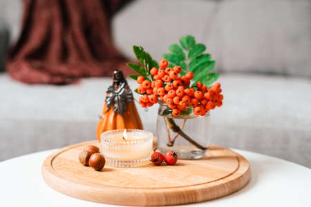 Still life book, candle, rowan berry, pumpkin and a cup of tea or coffee in the living room on a table, home decor in a cozy house. Autumn weekend concept, plaid. Fallen leaves and home decorationの写真素材