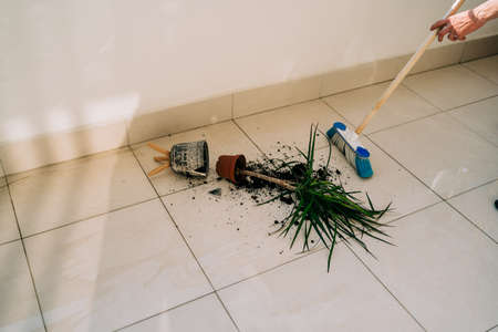 Broken flower pot on the floor with spilled soil and damaged plant. Wiping floor with mop. Home chores - cleaning the dirt. Flower accident with shattered ceramic pot and messy dirt on the balcony.の写真素材
