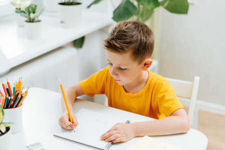 Distance learning online education. Caucasian smile kid boy studying at home with book, writing in...