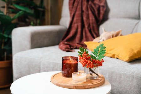 Still life, candle, rowan berry and pumpkin in the living room on a table, home decor in a cozy house. Autumn weekend concept, blanket and plaid. Fallen leaves and dog puppy on couchの写真素材