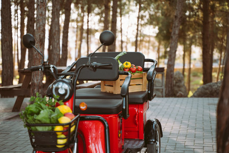 Red electric tricycle tuk tuk loaded with crates of vegetables and fruits parked in pine forrest. Farmland ranch electric vehicle delivered groceries to camp areaの写真素材