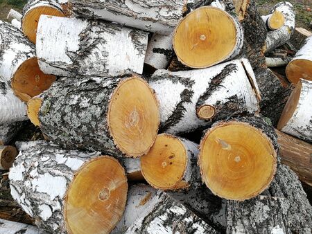 Pile of firewood