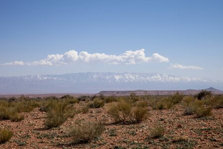 steppe, mountains in the distanceの写真素材