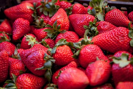 strawberry. close upの写真素材