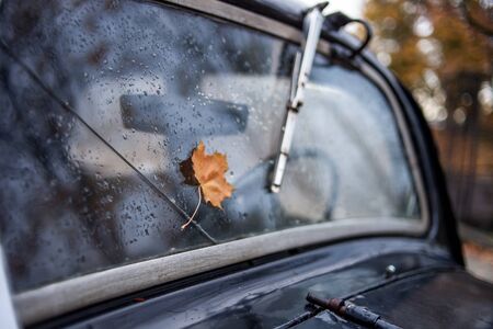 maple leaf on the windshieldの写真素材