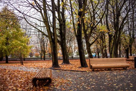 wet benches in the autumn Parkの写真素材