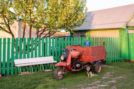 moped with a cart and a dogの写真素材