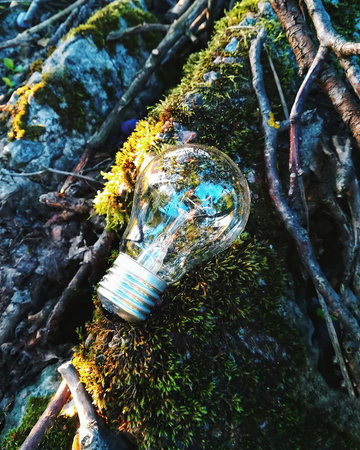 A light bulb on a stone with a green moss close upの写真素材