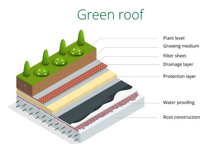 Basic elements of a green roof. Flat 3d vector isometric illustration of eco roofのイラスト素材
