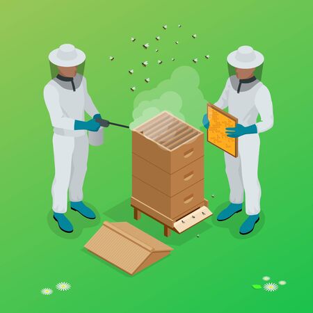 Apiary beekeeper vector illustrations. Apiary vector symbols. Bee, honey, bee house, honeycomb. Honey natural healthy food production. Man beekeeer special costume.のイラスト素材