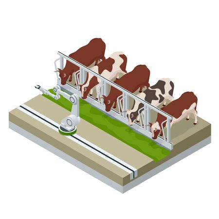 Isometric irrigational smart robotic system on the dairy farm. Automated agriculture, technology. Robot farmers. Farm cowshed with milking cows eating hay.のイラスト素材