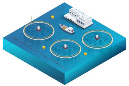 Isometric Fish Farm. Producing Trout and Salmon, Carp, Tilapia, and Catfish. Fish farming or pisciculture involves raising fish commercially in tanks or enclosures such as fish ponds for food.のイラスト素材