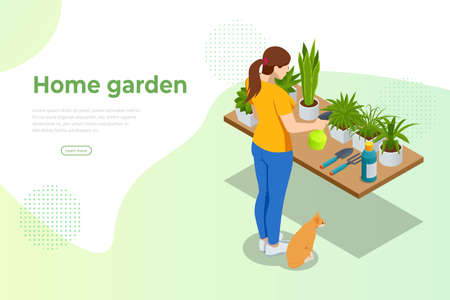 Isometric woman grows flowers in home garden. Planting flowers. Nature concept. Earth day concept. Dive flower sprouts into individual pots.のイラスト素材