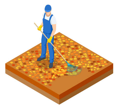 Isometric man cleaning fallen autumn leaves, A gardener collects and cleans fallen leaves in the fall with a rake isolated on whiteのイラスト素材