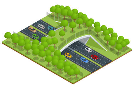Isometric expressway with a bridge for wildlife. Bridge over a highway in forestのイラスト素材