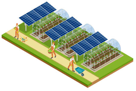 Isometric Greenhouse isolated on white. Growing seedlings in glasshouse. Plants crop in greenhouseのイラスト素材