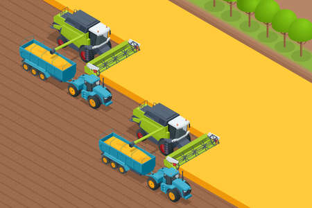 Grain harvesting combine. Combine harvester harvests ripe wheat. Agriculture concept. Reaping, threshing, gathering, and winnowingのイラスト素材